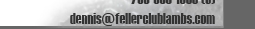 Email Fellers