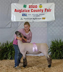Feller Club Lambs Winners