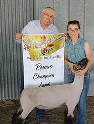 Feller Club Lambs Winners