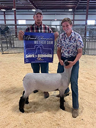 Feller Club Lambs Winners